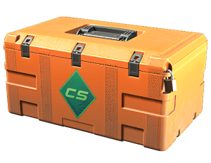 Skrzynka Gallery Case